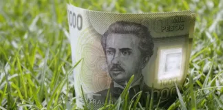 Bono Logro Escolar 2025: Apoyo económico para estudiantes destacados en Chile.