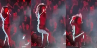 Cami se accidenta al caer del escenario durante su show en Santiago.