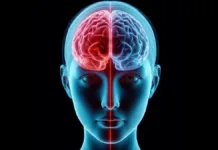 Descubre las 10 claves para proteger tu cerebro del deterioro cognitivo.