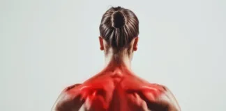 Descubre cómo la creatina potencia tu masa muscular y los mejores alimentos para incluirla.