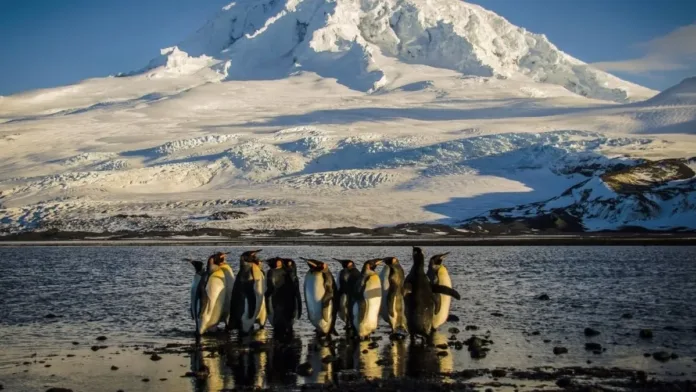 Islas Heard y McDonald: un refugio de fauna en medio de la guerra comercial de Trump. Islas Heard y McDonald: un refugio de fauna en medio de la guerra comercial de Trump.