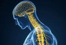 Diez hábitos sencillos para cuidar tu mente y prevenir la demencia.