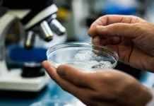 Explorando la ciencia a nanoescala: soluciones innovadoras para la salud y la obesidad.