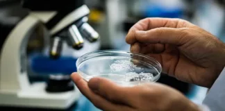 Explorando la ciencia a nanoescala: soluciones innovadoras para la salud y la obesidad.