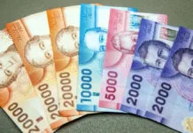 Descubre cómo acceder a ayudas y subsidios en tiempos de crisis laboral.