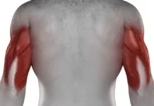 Fortalece seus tríceps em casa com 5 exercícios simples e eficazes.