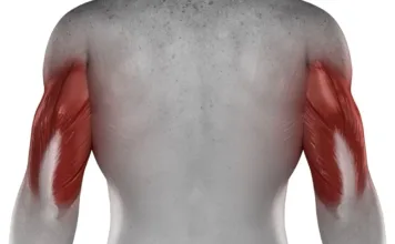 Fortalece seus tríceps em casa com 5 exercícios simples e eficazes.
